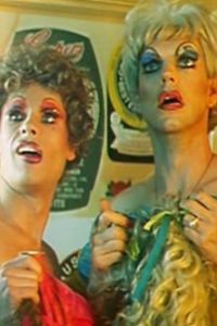 Adventures of Priscilla, Queen of the Desert, The